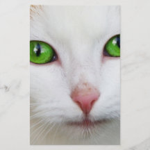 Gato nacional con la piel felina del blanco de la  tarjeton