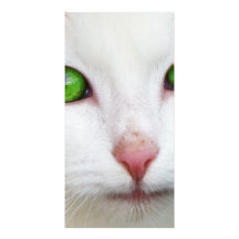 Gato nacional con la piel felina del blanco de la  tarjeta fotografica personalizada
