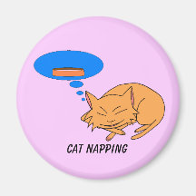 Gato Napping Iman