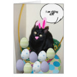 Gato negro de Pascua Tarjetón