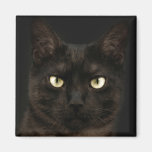 Gato negro fantasmagórico imán para frigorífico