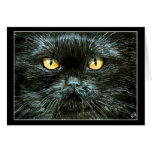 Gato negro Halloween o tarjeta de nota