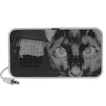 Gato negro iPod altavoces