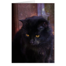 Gato negro, ojos ambarinos, en ventana de la noche tarjeta