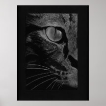 Gato negro posters