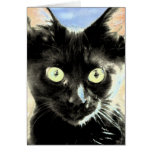 Gato negro tarjetón