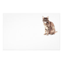 gato papelería