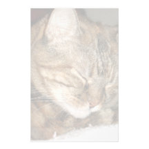 Gato Papelería De Diseño