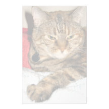 Gato Papeleria Personalizada