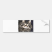 Gato Pegatina De Parachoque
