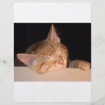 Gato perezoso tarjetones