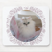 Gato persa blanco en una silla rosada alfombrilla de ratones