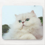 Gato persa con los ojos del jade alfombrillas de ratones