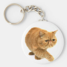 Gato persa llavero personalizado