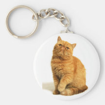 Gato persa llaveros personalizados