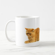 Gato persa taza
