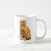 Gato persa taza de café