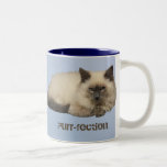 Gato persa taza de café