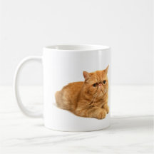Gato persa tazas