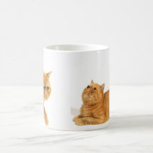 Gato persa tazas de café