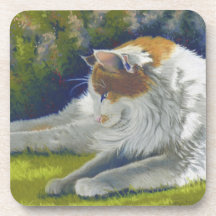 Gato Posavaso