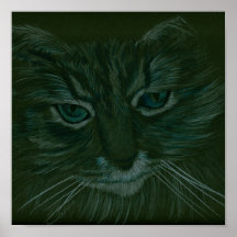 Gato Posters