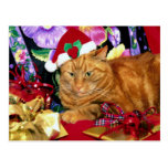 Gato que lleva el gorra de Papá Noel - postal