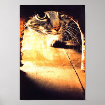 Gato que mira en el agujero del ratón poster