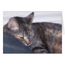 gato que toma una siesta felicitacion 