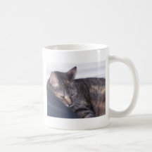 gato que toma una siesta tazas