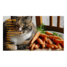 Gato "rojo" con las zanahorias tarjetas de visita
