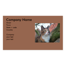 Gato "rojo" con los ojos grandes plantillas de tarjetas personales