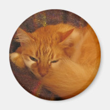 ¿Gato rojo soñoliento - usted finalmente déjeme do Imán