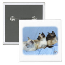 Gato siamés 9W055D-074 Pin