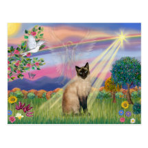 Gato siamés - ángel de la nube tarjeta postal