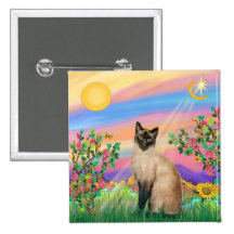 Gato siamés - estrella del día pins