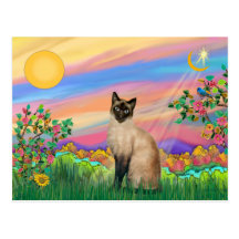 Gato siamés - estrella del día tarjeta postal