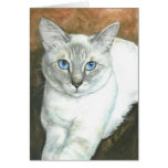 Gato siamés Notecards Felicitacion