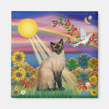 Gato siamés - otoño Sun Imán