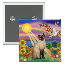 Gato siamés - otoño Sun Pin