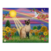 Gato siamés - otoño Sun Tarjetas Postales