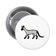 Gato siamés pin