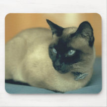 Gato siamés tapetes de ratón