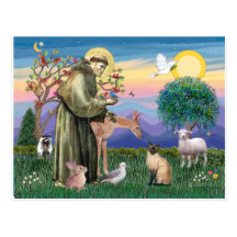 Gato siamés y St Francis Postal