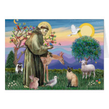 Gato siamés y St Francis Tarjetas
