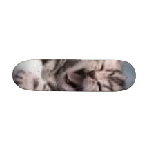 gato tabla de patinar