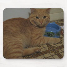 Gato Tapete De Raton