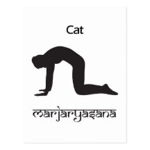 Gato Tarjeta Postal