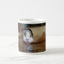 Gato Tazas