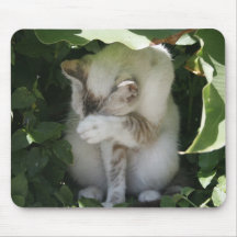 Gato tímido Mousepad Tapetes De Raton